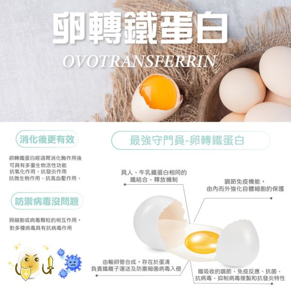 【虎揚 】貓舒通 30粒｜貓咪上呼吸道保健 膠囊營養品｜維持免疫力 抗氧化 舒緩壓力 提升抵抗力 呼吸道機能保健品 虎揚,貓舒通,貓保健品,貓呼吸道,貓感冒,貓免疫力,貓抗氧化,寵物保健,呼吸道營養品,貓營養膠囊