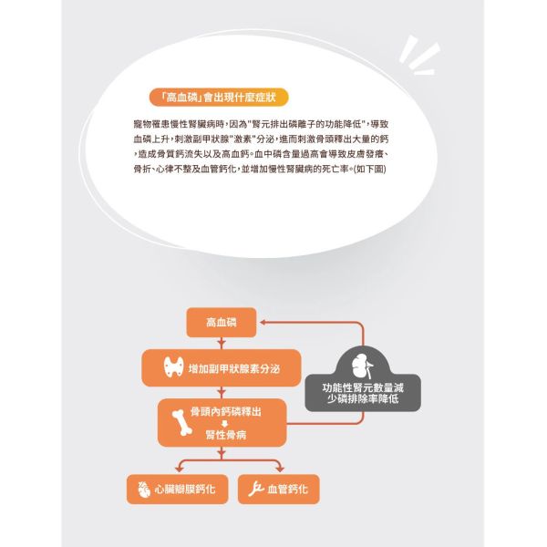 【賽恩威特】 腎利磷 ReneCare｜犬貓腎臟保健配方 降磷營養品 維持腎功能 降低血磷 貓腎臟病營養補充 30粒/150粒 賽恩威特,腎利磷,ReneCare,犬貓腎臟保健,狗腎臟保健,貓腎臟病,降磷營養品,腎臟營養補充,降低血磷,腎臟功能維持,慢性腎臟病,獸醫推薦