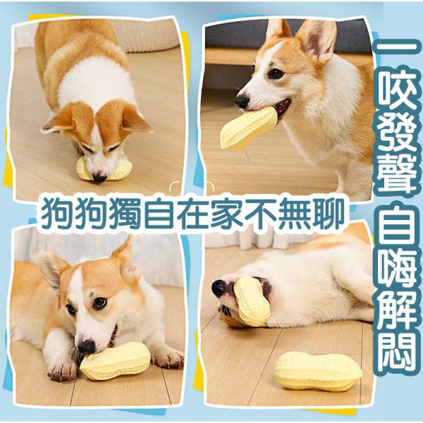 花生造型 寵物花生 啾啾玩具 發聲互動玩具 毛孩玩具 仿真玩具 發聲玩具 寵物玩具 啾啾玩具 磨牙玩具 潔牙玩具 狗玩具,狗狗玩具,磨牙玩具,耐咬狗玩具,發聲玩具,寵物玩具,寵物互動玩具,橡膠咬咬玩具,狗狗潔牙玩具,幼犬玩具,中大型犬玩具,花生造型玩具,狗狗訓練玩具,寵物用品推薦