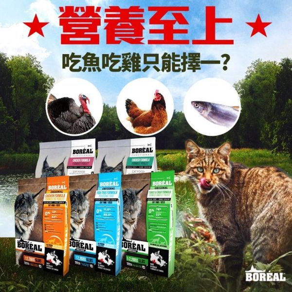 【波瑞歐 BOREAL】 無穀犬糧 12磅｜室內貓化毛調理・高齡貓關節護理・海陸野饌・海宴三重奏・鮮雞肉 全齡貓 波瑞歐 BOREAL 貓飼料

無穀貓飼料 12磅

大包裝貓飼料推薦

室內貓化毛飼料

高齡貓飼料 關節保健

全齡貓無穀飼料

低敏貓飼料推薦

加拿大無穀貓糧

貓咪大包裝飼料

貓咪鮮雞肉飼料

貓咪魚肉飼料