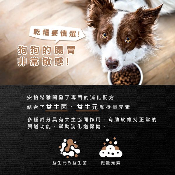 【安柏希雅 Ambrosia】 無穀鮮肉犬糧 2kg｜全齡犬/幼母犬/小型犬 火雞肉+兔肉/鴨肉/雞肉+鮭魚/雞肉+鮮魚 狗飼料 主食低敏配方 無穀犬糧, 鮮肉犬糧, 全齡犬飼料, 小型犬飼料, 幼母犬飼料, 低敏狗飼料, 狗主食推薦, 安柏希雅犬糧, 火雞肉犬糧, 鴨肉狗飼料, 鮭魚犬糧, 雞肉犬糧