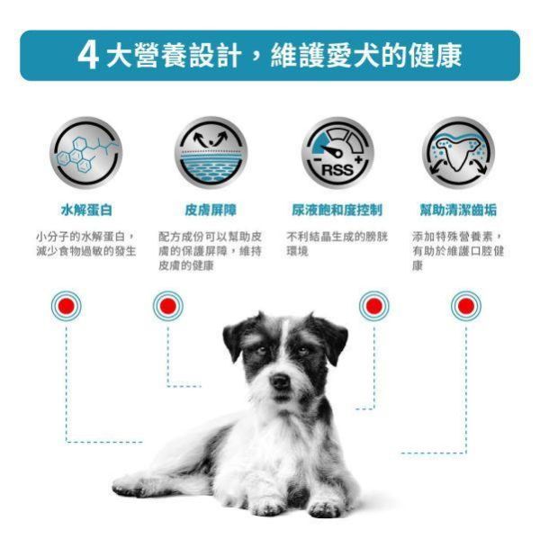 皇家  HSD24 犬低過敏小型犬處方乾糧｜Hypoallergenic Small Dog 水解蛋白配方｜3.5KG 小型犬低過敏飼料、犬水解蛋白飼料、Royal Canin HSD24、Hypoallergenic Small Dog、犬食物過敏、獸醫處方犬糧