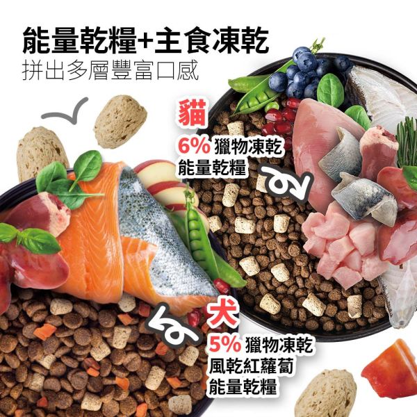 【耐吉斯】P系列-全齡貓 凍乾填心無穀雞肉餐 海陸餐 鮭魚餐 輕量包 350克 耐吉斯凍乾、耐吉斯全齡貓飼料、凍乾多拼貓糧、海陸餐貓飼料、鮭魚餐貓糧、雞肉餐貓飼料、無穀低敏貓糧、高蛋白低碳貓糧、貓咪凍乾飼料推薦、Holistic Recipe Solution 貓糧