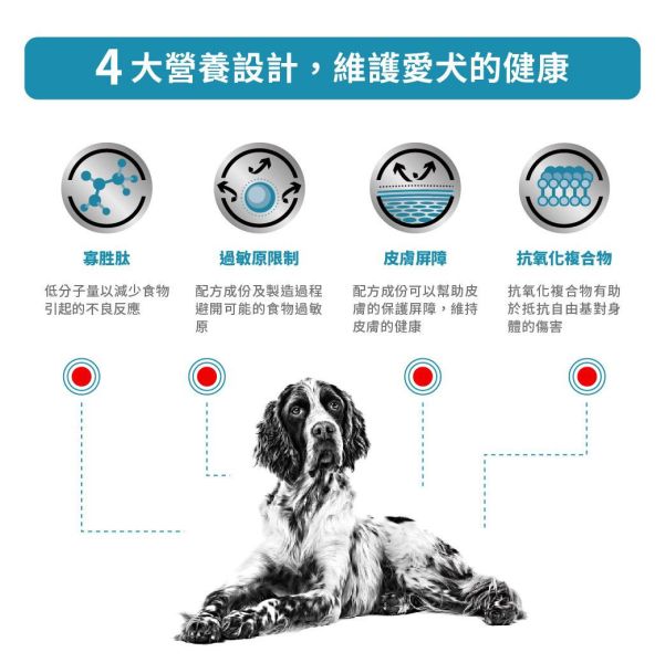 皇家【犬】水解低敏處方乾糧  AN18犬水解低敏處方3kg / 1.5kg 狗狗水解蛋白飼料推薦

狗狗皮膚過敏飼料

狗狗IBD腸炎飼料

狗狗腸胃敏感吃什麼

皇家犬用過敏處方飼料

羽毛蛋白處方飼料

狗狗食物排除試驗飼料

狗狗異位性皮膚炎飼料推薦

狗狗長期低敏飼料

Royal Canin AN18