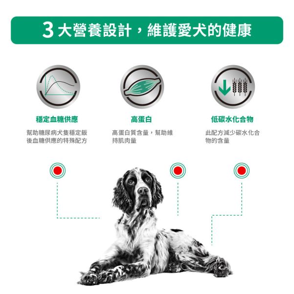 皇家【犬】糖尿病處方乾糧 DS37犬糖尿病處方1.5kg / 7kg 狗狗糖尿病飼料

皇家糖尿病犬飼料

狗狗控糖飼料推薦

狗狗血糖控制飼料

Diabetic 狗乾糧

狗狗糖尿病飲食

糖尿病犬飼料品牌

狗狗糖尿病可以吃什麼

Royal Canin Diabetic

狗狗糖尿病營養建議