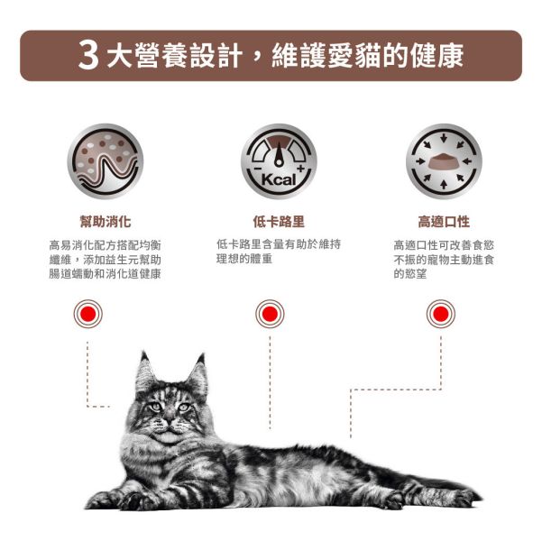 皇家【貓】腸胃道低卡路里配方  GIM35貓腸胃低卡-2kg 貓腸胃處方飼料推薦
貓咪消化不良吃什麼
貓咪腸胃炎處方飼料
GIM35 皇家貓飼料
腸胃敏感貓咪飼料
肥胖貓處方飼料推薦
IBD處方飼料貓
貓咪體重控制處方飼料
貓咪腹瀉飼料推薦
皇家貓低卡飼料 2kg