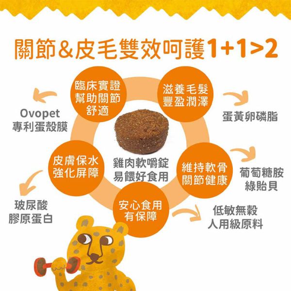 【IN-Plus】蛋殼膜關節保健 30顆/60顆 雙效呵護配方 犬貓適用 蛋殼膜關節保健

狗狗關節保健品

貓咪關節保養

犬貓MSM保健品

葡萄糖胺 軟骨素 狗

關節靈活 犬貓

狗狗關節保健推薦

貓咪關節保健推薦