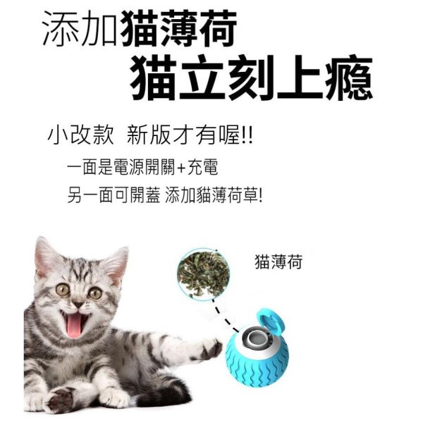 智能逗貓球 自動滾動貓玩具｜會滾動的逗貓球 貓草球 可充電互動球 智能引誘滾動球 寵物解悶訓練球 逗貓球,智能逗貓球,自動滾動貓球,會滾動的逗貓球,自動貓玩具,貓草球,滾動貓球,互動貓玩具,電動貓玩具,智能貓玩具,貓咪玩具,貓咪互動球,貓咪自動玩具,滾動球玩具,貓球玩具,可充電逗貓球