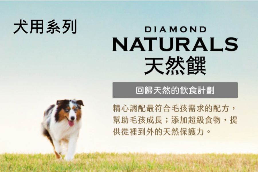 天然饌 Diamond Naturals 犬飼料 2KG 雞肉米 羊肉米 鮭魚護毛 雞蛋燕麥 全齡犬 小型成犬 高齡犬配方 Diamond Naturals 狗飼料

天然饌 犬用飼料

狗飼料 雞肉米

狗飼料 羊肉米

無穀鮭魚 狗飼料

高齡犬 狗飼料推薦

小型成犬 狗飼料

全齡犬 飼料推薦

狗狗護毛飼料

狗飼料 2kg