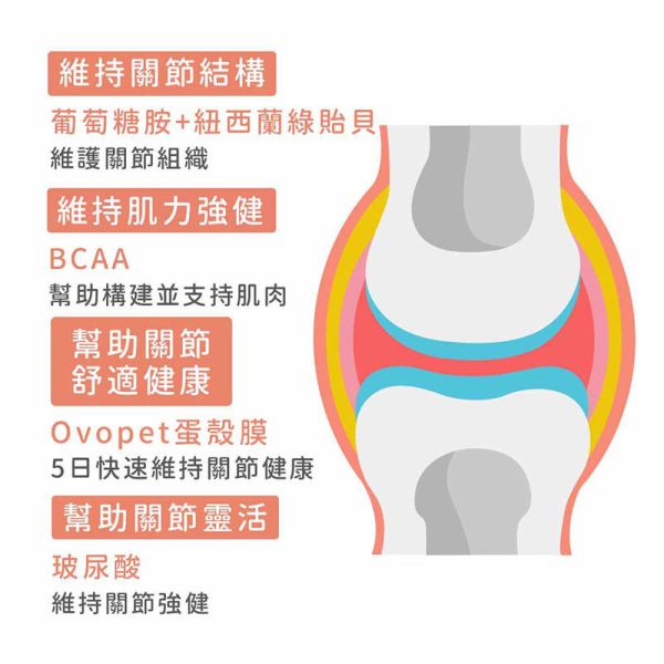 【IN-Plus】蛋殼膜關節保健 30顆/60顆 雙效呵護配方 犬貓適用 蛋殼膜關節保健

狗狗關節保健品

貓咪關節保養

犬貓MSM保健品

葡萄糖胺 軟骨素 狗

關節靈活 犬貓

狗狗關節保健推薦

貓咪關節保健推薦