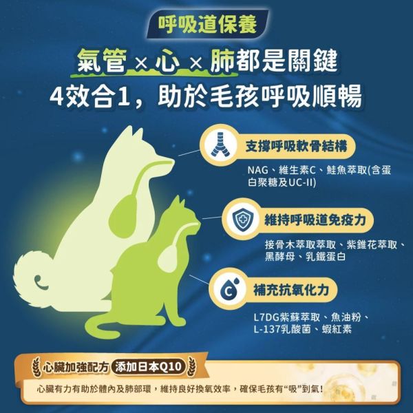 汪喵星球-呼吸道保健粉【2g*30包】 汪喵星球,呼吸道保健,犬貓保健粉,寵物呼吸保養,貓狗保健品,呼吸道營養