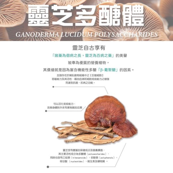 【虎揚 】貓舒通 30粒｜貓咪上呼吸道保健 膠囊營養品｜維持免疫力 抗氧化 舒緩壓力 提升抵抗力 呼吸道機能保健品 虎揚,貓舒通,貓保健品,貓呼吸道,貓感冒,貓免疫力,貓抗氧化,寵物保健,呼吸道營養品,貓營養膠囊