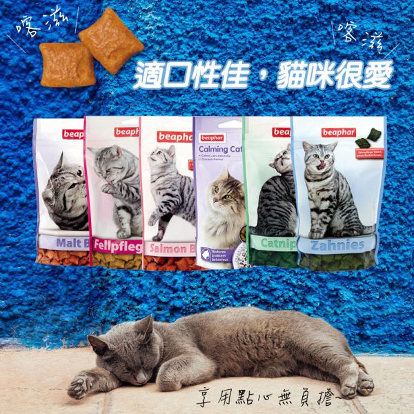 貓樂透餡餅 貓餡餅 35g  貓餅乾 樂透貓 營養餡餅 化毛餡餅 潔牙餡餅 貓零食 貓零嘴 貓咪點心 貓草餅乾 貓樂透餡餅, 貓咪餡餅, 貓零食 化毛, 貓零食 潔牙, 貓零食 保健, 貓咪皮膚保健零食, 舒壓貓咪零食, 營養補充 貓咪, 貓草零食, 貓咪機能零食, 貓咪化毛餡餅, 貓咪潔牙餡餅