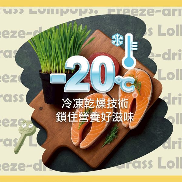 【歐姆貓 OMO】糖果喵凍乾棒棒糖 10g｜貓咪零食推薦 鮭魚 鮪魚 貓草 單支裝10g 健康潔牙 貓咪凍乾點心 糖果喵凍乾棒棒糖、貓咪凍乾零食、貓咪潔牙零食、貓咪鮭魚零食、貓咪鮪魚零食、貓草零食、貓咪凍乾棒棒糖、貓咪點心推薦、天然貓咪零食