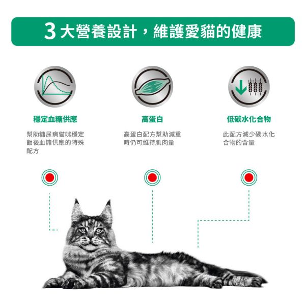 皇家【貓】糖尿病處方 DS46貓糖尿病 1.5kg    3.5kg 貓糖尿病飼料
皇家糖尿病處方貓糧
DS46貓 糖尿病
貓咪 血糖控制飼料
獸醫推薦處方飼料
貓低碳水飼料
ROYAL CANIN 糖尿配方
糖尿病貓吃什麼
控制血糖貓飼料
貓咪專用處方飼料