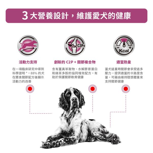 皇家【犬】關節配方乾糧  MC25犬關節處方2kg 關節犬飼料、犬用關節保健、Royal Canin 關節配方、關節退化狗飼料、MC25 狗飼料、C2P+ 狗糧、中老年犬保健飼料