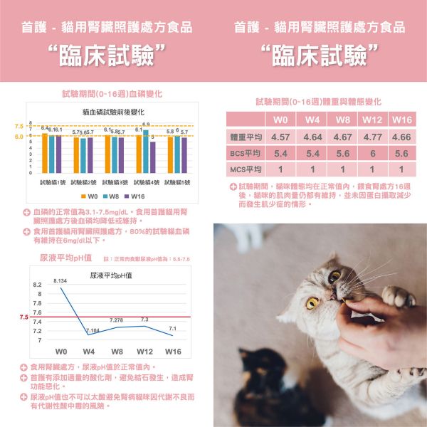 AdvoCare首護處方 1.5KG 狗腎病處方 貓腎病處方 磷酸胺鎂結石處方 首護處方飼料, AdvoCare 貓飼料, AdvoCare 狗飼料, 貓腎臟病飼料, 狗腎臟病飼料, 貓泌尿道結石飼料, 磷酸銨鎂結石處方, 處方貓飼料推薦, 處方狗飼料推薦, 腎臟病處方飼料, 貓泌尿道保健飼料
