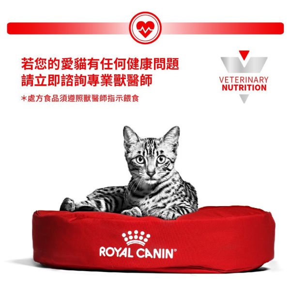 皇家 GIK35C 幼貓腸胃道處方罐 195g｜Gastrointestinal Kitten 1–12個月 幼貓專用 Royal Canin GIK35C

Gastrointestinal Kitten 濕糧

幼貓腸胃道處方罐

幼貓腹瀉 罐頭

幼貓消化不良 濕糧

幼貓腸胃敏感 飲食

皇家幼貓處方罐

幼貓腸胃照護 濕食