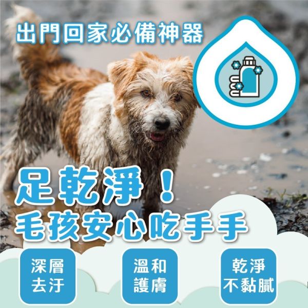 【臭味滾 】寵物腳底清潔慕斯 150ml｜狗貓適用 升級款 無香精 抗菌保濕 除臭泡沫 清爽護理 臭味滾 腳底清潔慕斯

寵物腳底清潔慕斯

狗狗腳底清潔

貓咪腳底清潔

臭味滾 慕斯 150ml

寵物腳底除臭

寵物腳掌護理

狗貓腳底護理泡沫

免水洗腳底清潔

寵物腳底抗菌保濕