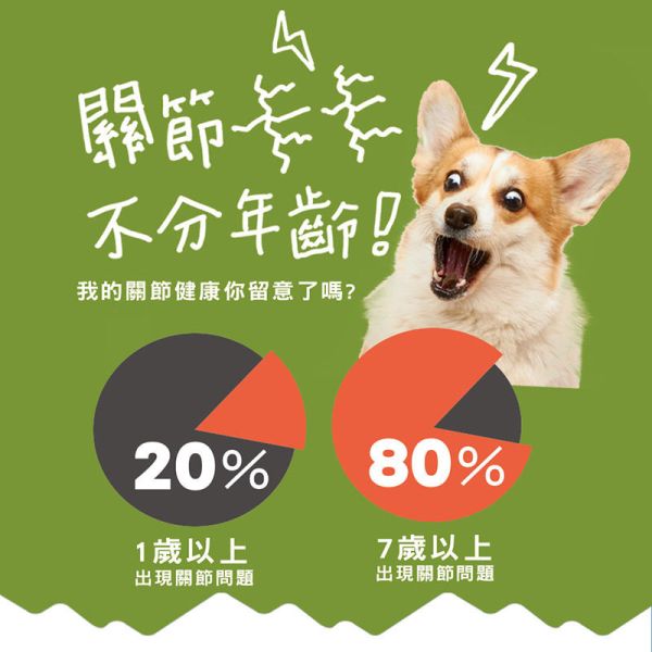【IN-Plus】犬用保健品 & 護眼晶草本精華素｜護眼配方40g・骨力補關節心臟配方28包・5051高效益生菌24包 IN PLUS 犬用保健品

狗狗護眼保健

狗狗關節心臟保健

狗狗益生菌推薦

狗狗葉黃素補充

狗狗腸胃保健品

狗狗免疫力提升

犬用 CoQ10 保健

狗狗腸道健康益生菌

IN PLUS 護眼晶