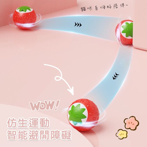 智能逗貓球 自動滾動貓玩具｜會滾動的逗貓球 貓草球 可充電互動球 智能引誘滾動球 寵物解悶訓練球 逗貓球,智能逗貓球,自動滾動貓球,會滾動的逗貓球,自動貓玩具,貓草球,滾動貓球,互動貓玩具,電動貓玩具,智能貓玩具,貓咪玩具,貓咪互動球,貓咪自動玩具,滾動球玩具,貓球玩具,可充電逗貓球