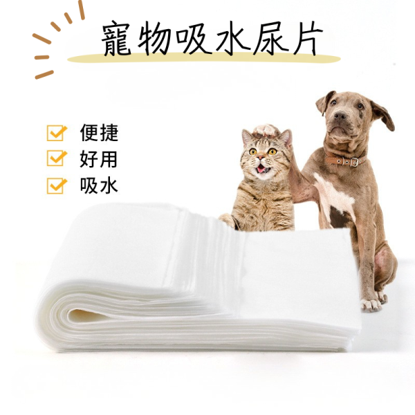 寵物吸水尿片 25x30cm｜高效吸尿墊 狗狗尿布墊 貓用尿片 防滲防漏 居家訓練墊 一次性尿墊 寵物尿布墊,寵物尿片,吸水尿墊,狗狗尿墊,狗尿片,貓尿墊,一次性尿墊,防滲尿墊,訓練尿墊,吸水尿片,高吸水尿墊,居家清潔用品,寵物清潔墊,外出尿墊,環保尿布墊