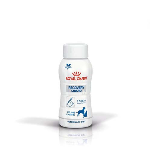 皇家 ICU 重症營養補給配方（貓/犬用）200ml/237ml ｜皇家恢復期營養液｜高熱量高蛋白 犬貓術後重症營養補充 Royal Canin ICU
皇家 ICU 營養
犬貓重症營養
貓狗恢復期營養
犬貓術後營養補充
高熱量營養液 犬貓
犬貓重症補給
皇家處方營養
液態營養 犬貓
ICU 營養補給配方