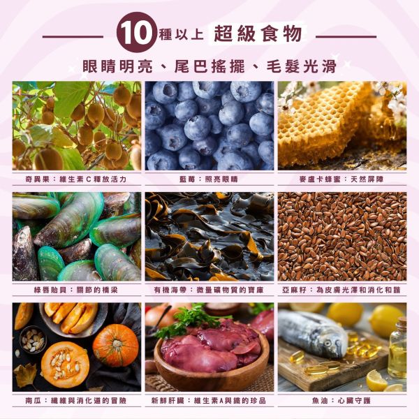 【索美達 Soulmate 】貓凍乾生食餐 20g｜深海魚/草飼牛肉/雞肉｜低溫烘焙 + 鮮食肉片｜高蛋白無添加 貓咪主食零食 貓凍乾生食餐

Soulmate 索美達

貓凍乾零食

貓咪主食推薦

貓咪高蛋白飼料

貓咪天然糧

貓咪無穀飼料

貓咪低溫烘焙糧

深海魚貓糧

草飼牛肉貓糧

雞肉凍乾貓糧

紐西蘭貓糧推薦