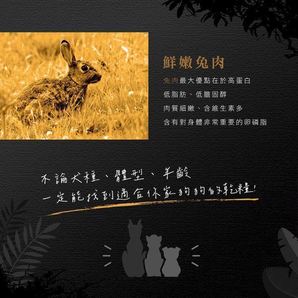 【安柏希雅 Ambrosia】無穀鮮肉犬糧 100g｜鮭魚雞肉／雞肉鮮魚／火雞兔肉／火雞鴨肉｜高動物性蛋白・小顆粒 安柏希雅犬糧, Ambrosia 狗飼料, 無穀犬糧推薦, 鮮肉犬糧, 幼犬飼料, 小型犬飼料, 全齡犬飼料, 高蛋白狗糧, 低敏犬糧, 狗飼料100g, 試吃包犬糧