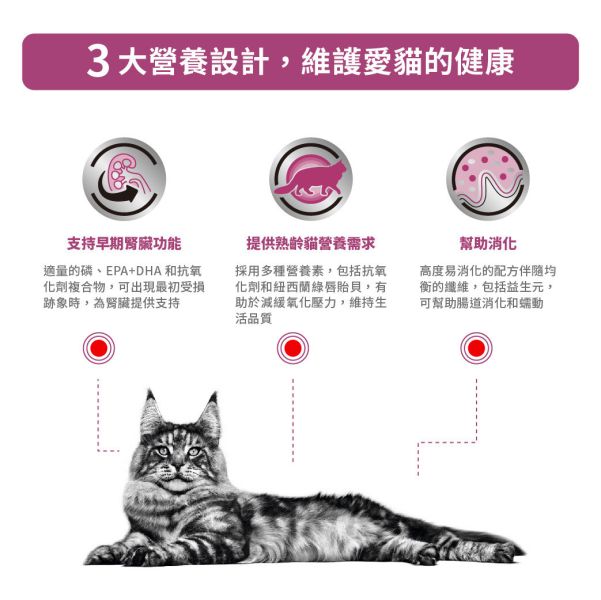 皇家【貓】早期腎臟病配方  ER28貓早期腎臟病-1.5kg  3.5kg 貓腎臟病飼料推薦
皇家腎臟處方飼料
ER28貓腎臟配方
早期腎病貓糧
貓咪腎臟保健飼料
低磷飼料推薦
獸醫推薦腎臟飼料
ROYAL CANIN處方飼料
貓腎臟病吃什麼
老貓保健飼料推薦