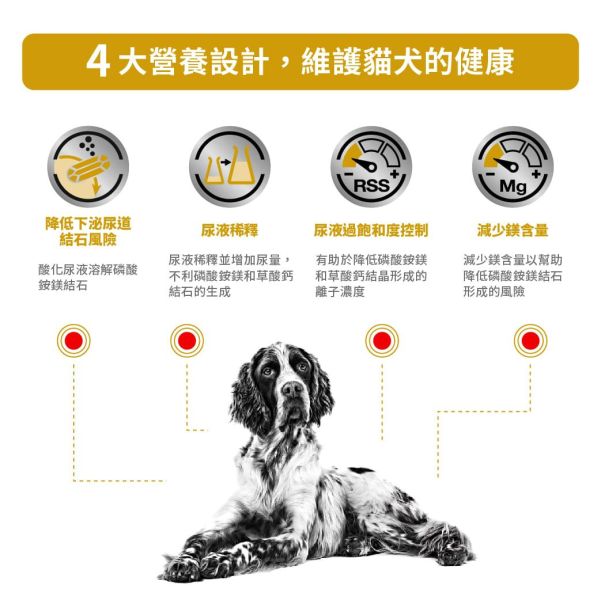 皇家【犬】泌尿道配方乾糧 LP18犬泌尿道配方 2kg /7.5kg 犬用泌尿道飼料

狗狗結石飼料

狗狗尿道結石處方飼料

ROYAL CANIN 犬尿道

皇家泌尿道犬配方

狗結石配方飼料

狗磷酸銨鎂結石

狗草酸鈣結石

狗尿結晶溶解飼料

皇家狗乾糧泌尿道

狗泌尿道處方飼料推薦

狗狗容易結石吃什麼飼料