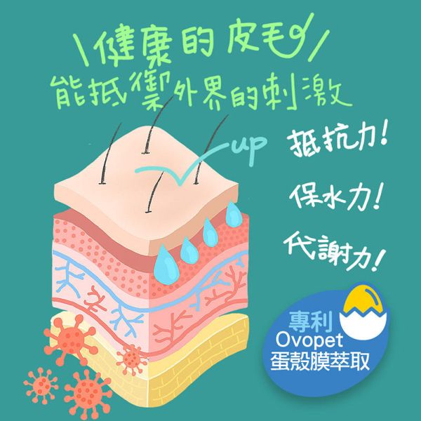 【IN-Plus】 犬用保健品  60顆/120顆/300顆   蛋殼膜卵磷脂｜護膚亮毛・魚油舒敏配方 IN PLUS 蛋殼膜卵磷脂

狗狗皮膚保健

狗狗毛髮亮澤

狗狗舒敏保健品

狗狗魚油卵磷脂

犬用保健食品

狗狗護毛營養品

狗狗掉毛改善

寵物皮膚毛髮保健