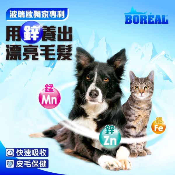 【波瑞歐 BOREAL】 無穀犬糧 12磅 ｜野牧鴨肉 全齡犬 小顆粒｜低敏高蛋白 無穀狗飼料推薦 波瑞歐 BOREAL 狗飼料

無穀犬糧 12磅

狗飼料 小顆粒

低敏狗飼料推薦

高蛋白狗飼料

全齡犬飼料

鴨肉狗飼料

加拿大無穀狗糧

小型犬飼料推薦

狗狗腸胃保健飼料