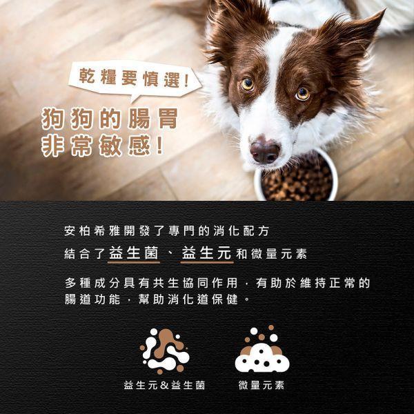 【安柏希雅 Ambrosia】無穀鮮肉犬糧 100g｜鮭魚雞肉／雞肉鮮魚／火雞兔肉／火雞鴨肉｜高動物性蛋白・小顆粒 安柏希雅犬糧, Ambrosia 狗飼料, 無穀犬糧推薦, 鮮肉犬糧, 幼犬飼料, 小型犬飼料, 全齡犬飼料, 高蛋白狗糧, 低敏犬糧, 狗飼料100g, 試吃包犬糧