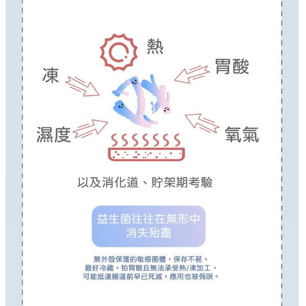 【Life+ 虎揚 】 樂多菌 PvoBC 犬貓益生菌 60g｜毛孩腸胃保健 乳酸菌粉 改善軟便 腸胃調理 維持消化吸收力 Life+樂多菌,犬貓益生菌,寵物乳酸菌,腸胃保健,毛孩腸胃粉,狗益生菌,貓益生菌,腸胃調理,改善軟便,消化吸收,獸醫推薦,毛孩保健