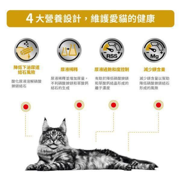 皇家  LP34 貓泌尿道處方乾糧｜Urinary S/O 結石管理配方｜1.5KG 貓泌尿道處方飼料

貓結石飼料

Royal Canin LP34

貓尿結石怎麼吃

貓 Urinary S/O

貓下泌尿道症候群

獸醫推薦貓泌尿道飼料