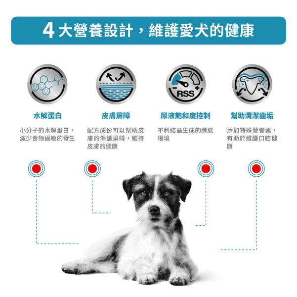 皇家【犬】低過敏小型犬處方乾糧  HSD24犬低過敏小型犬處方3.5kg / 1kg 小型犬低敏飼料推薦

小型犬過敏飼料

狗狗皮膚過敏吃什麼

狗狗異位性皮膚炎飼料

皇家犬低過敏飼料

小型犬慢性腸炎飼料

狗狗IBD處方飼料

狗狗EPI腸酵素不足飲食

小型犬腸胃敏感飼料

ROYAL CANIN HSD24

狗狗牙齒保健飼料推薦