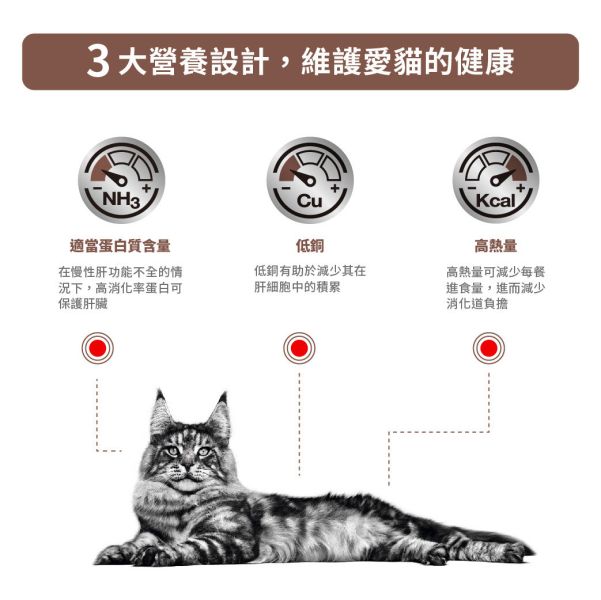 皇家【貓】肝臟配方  HF26 貓肝臟配方-2kg 皇家HF26
貓肝臟病處方飼料
肝炎貓飼料推薦
貓肝功能保健飼料
ROYAL CANIN 肝病貓飼料
貓膽管炎飼料
低銅處方飼料推薦
貓肝臟病飼料推薦
貓脂肪肝飲食配方
貓慢性肝炎營養飼料