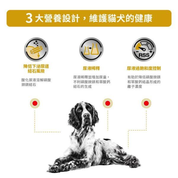 皇家 LP18W 犬泌尿道處方濕糧 100g｜Urinary S/O｜犬用泌尿道結石管理 濕食 LP18W

Royal Canin LP18W

犬泌尿道處方濕糧

Urinary S/O 狗

狗狗泌尿道結石

犬用泌尿道濕食

皇家泌尿道濕糧

犬處方濕糧

獸醫處方犬用濕糧