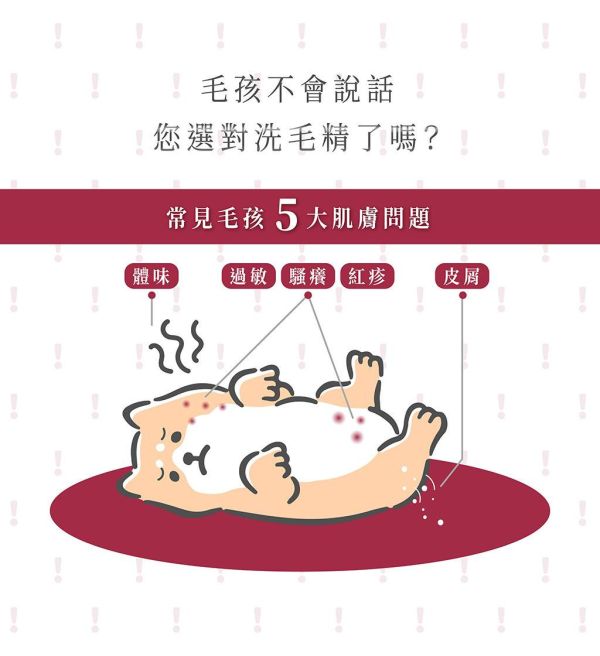 【 K'9 Nature Holic】 天然有機認證洗毛精｜天然低敏 無矽靈貓狗沐浴乳 花果系列 檜木系列 頂級植萃護毛精 K9洗毛精,K’9 Nature Holic,寵物洗毛精,狗狗洗毛精,貓咪洗毛精,有機洗毛精,天然洗毛精,無矽靈洗毛精,低敏洗毛精,除臭洗毛精,保濕洗毛精,亮毛洗毛精,寵物沐浴乳,犬貓洗毛精,花果系列,檜木系列,頂級系列