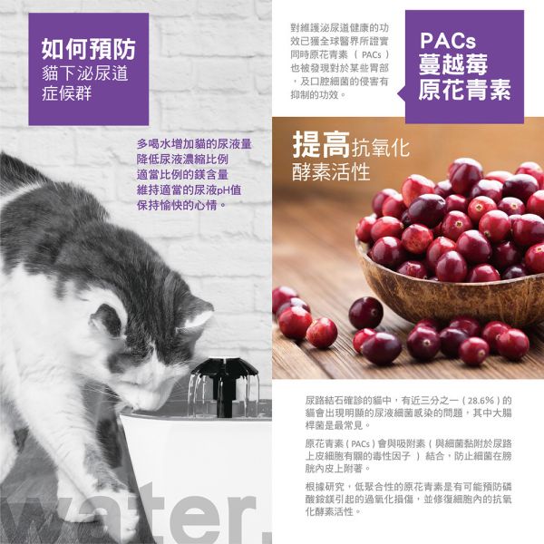 首護 AdvOCare AU 貓用磷酸銨鎂結石照護處方乾糧 1.5KG｜Urinary Care Struvite｜獸醫處方貓飼料 貓磷酸銨鎂結石飼料、貓鳥糞石處方飼料、AdvOCare AU 貓飼料、貓泌尿道處方飼料、Urinary Care 貓糧、獸醫處方貓糧