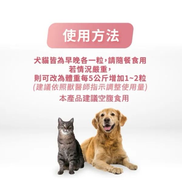 【賽恩威特】 甘疸能 ReLiver 60粒｜犬貓肝臟保健配方 含紅棗靈芝子 寵物保肝營養品 提升代謝力 維護肝功能 賽恩威特,甘疸能,ReLiver,犬貓肝臟保健,保肝配方,寵物保肝,狗肝臟保健,貓肝臟保健,紅棗靈芝,肝臟營養補充,肝臟修復,HealthPet