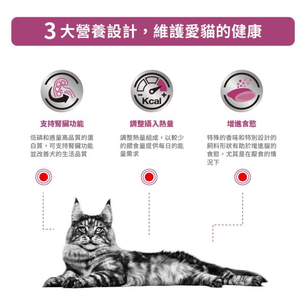 皇家【貓】腎臟病精選配方  RSE24貓腎臟病精選-400g  / 2kg 皇家腎臟病貓飼料

皇家RSE24

慢性腎病貓飼料推薦

腎病貓吃什麼

貓腎臟處方飼料推薦

皇家低磷貓飼料

ROYAL CANIN renal select

貓咪腎臟病吃什麼

處方飼料 腎臟病

腎病貓飲食控制