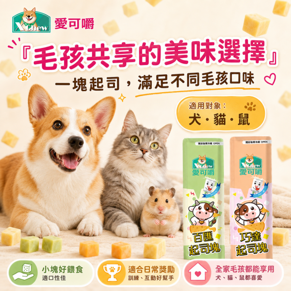 【X Chew 愛可嚼】寵物起司塊15g｜巧達／百匯｜犬貓鼠零食 訓練獎勵點心 愛可嚼起司塊15g、X Chew寵物起司零食、狗狗起司零食推薦、貓咪起司零食、倉鼠起司零食、犬貓鼠零食推薦