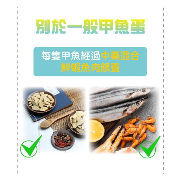 【Life+ 虎揚 】 生命膠囊 犬貓保健營養品 60粒｜亮毛護膚 促進代謝 提升免疫力 補充營養蛋白 維持健康活力 Life+生命膠囊,犬貓營養品,亮毛護膚,毛髮保健,免疫提升,魚肝油營養,皮膚保健,犬用膠囊,貓用膠囊,寵物營養補充品,毛孩健康,營養補給