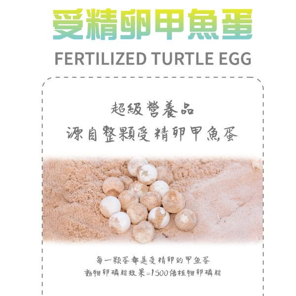 【Life+ 虎揚 】 生命膠囊 犬貓保健營養品 60粒｜亮毛護膚 促進代謝 提升免疫力 補充營養蛋白 維持健康活力 Life+生命膠囊,犬貓營養品,亮毛護膚,毛髮保健,免疫提升,魚肝油營養,皮膚保健,犬用膠囊,貓用膠囊,寵物營養補充品,毛孩健康,營養補給