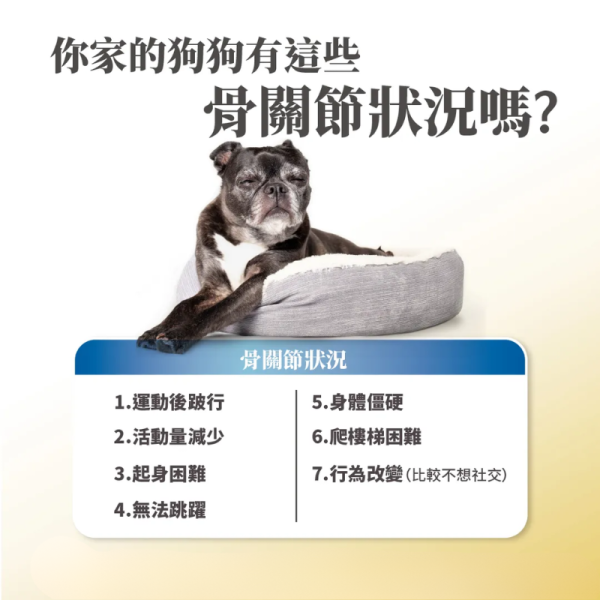 【毛掌醫學 】 藻鈣關節靈活配方 2g*30包｜貓狗專用 關節保健 骨骼強健 葡萄糖胺 軟骨素 毛掌醫學 藻鈣關節靈活

PawsMed 關節保健

狗狗關節保健品

貓咪骨骼保健

犬貓葡萄糖胺

犬貓軟骨素

寵物骨骼關節保健

狗狗走路跛腳保健

貓狗關節靈活配方

寵物骨質健康補充