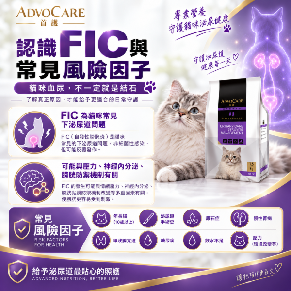 【首護 ADVOCARE】AU貓用磷酸銨鎂結石照護6KG｜貓泌尿道處方飼料｜Struvite尿結石配方 首護, ADVOCARE, AU, 首護AU, 貓泌尿道處方飼料, 貓處方飼料, 貓結石飼料, 貓尿結石, 磷酸銨鎂結石, 磷酸銨鎂結晶, Struvite, 貓泌尿道飼料, 低鎂貓飼料, 尿液pH, 泌尿道處方貓糧, 6KG貓飼料