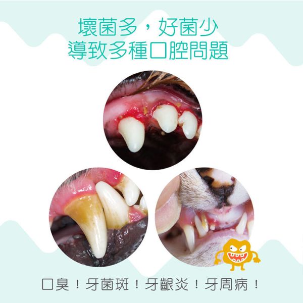 【IN-Plus】寵物潔牙噴霧｜犬/貓 用120ml・去口臭 抑菌護齒 口腔保健噴劑 IN PLUS 潔牙噴霧

狗狗口腔清潔

貓咪潔牙噴劑

狗狗口臭改善

貓咪去口臭

犬貓口腔保健品

狗狗牙齦護理

貓咪牙齒清潔噴劑

寵物口腔噴霧

狗貓潔牙推薦