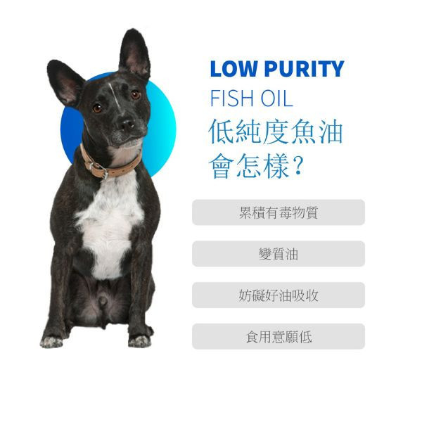 【Life+ 虎揚 】 PURE-EPA 魚油｜犬貓皮膚毛髮保健 體質調理 亮毛護膚 蝦紅素抗氧化 維持免疫健康 Life+魚油,犬貓魚油,寵物魚油,蝦紅素,Omega3,毛髮保健,皮膚保健,亮毛護膚,抗氧化營養,免疫力提升,犬貓營養補充,毛孩保健,獸醫推薦
